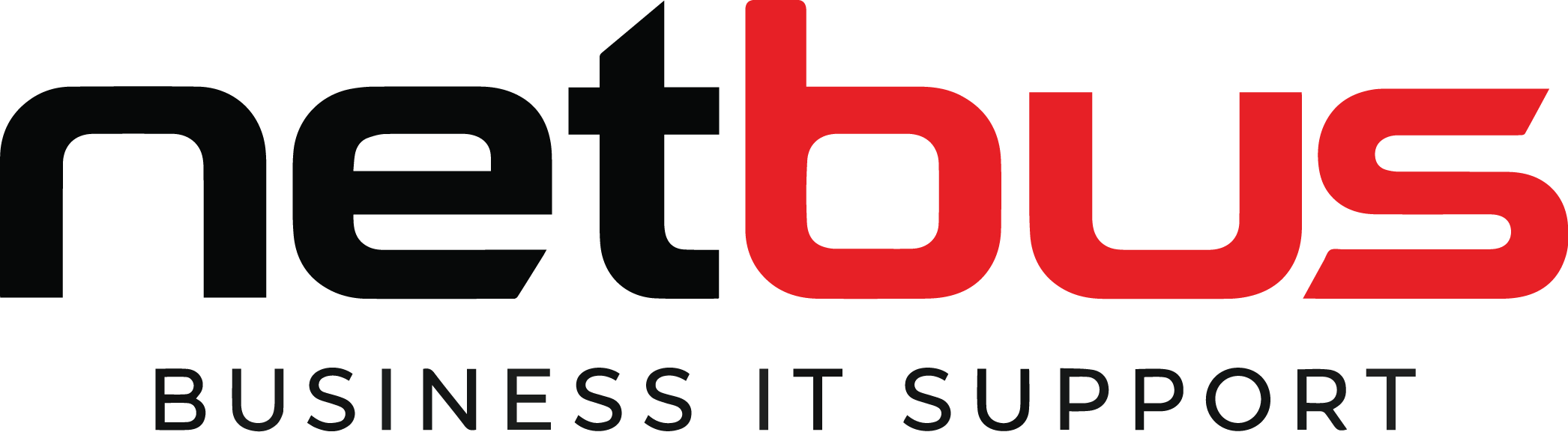 [TRAINING] Netbus IT Support